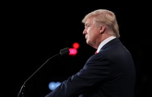 The Washington Times: Трамп может начать совместные с РФ авиаудары по террористам в Сирии