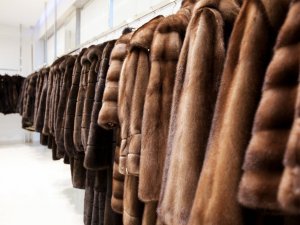Из-за проверок Роспотребнадзора шубы в Подмосковье подешевели в два раза