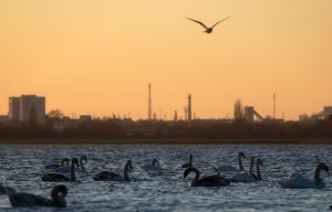 Россия подняла в СБ ООН вопрос о водной блокаде Крыма