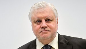 Миронов рассказал, кто должен получать доходы от приватизации