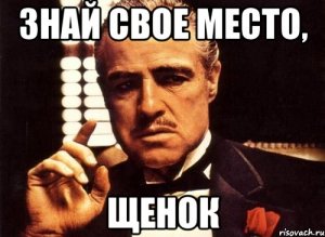 Главный военный геральдист Федеральной службы охраны подчеркнул самодостаточность российского двуглавого орла и посоветовал Александру Залдостанову (кличка «Хирург») не пиариться на гербе России