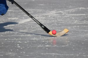 Бронзовый призер Чемпионата мира по хоккею с мячом Людмила Юрлова погибла вместе с семьей