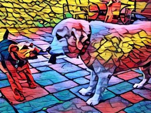 Facebook запретил российскому приложению Prisma обрабатывать прямые трансляции