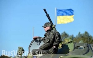 Источник: украинский военный на БМП сдался Народной милиции ЛНР