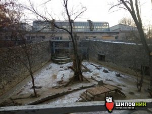 Повестка на АТО убила инвалида в Николаеве