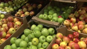 МИД Польши: если Россия снова купит наши яблоки, мы перестанем ее бояться