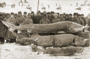 50 фактов, которые должен знать каждый русский