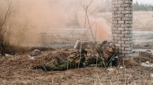 Эксперты из Великобритании: Эстонии следует перейти на стратегию партизанского противостояния (НАТО не даст особых преимуществ в случае возможного нападения со стороны России......)