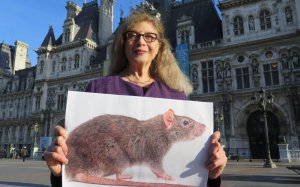 Петиция в защиту крыс. Париж, Франция