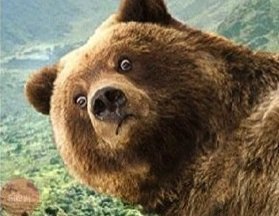 아니 거시기 자신 Южнокорейский военный самолет по ошибке сбросил в море несколько ракет и торпеду