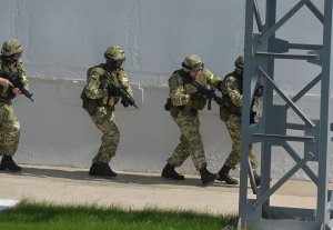 Указ 446: Беларусь будет готова противостоять ИГИЛ