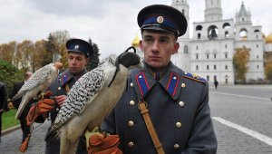 На защите Кремля стоит спецотряд тренированных птиц