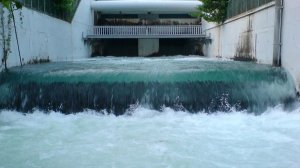СМИ: террористы убили сирийского генерала под Дамаском у водного источника Айн-эль-Фиджи