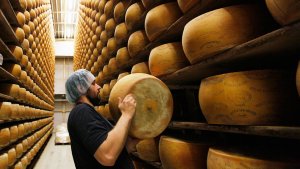 В Россию через ДНР: итальянские бизнесмены нашли путь обхода санкций