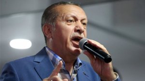 Эрдоган: власти Турции намерены полностью очистить страну от предателей