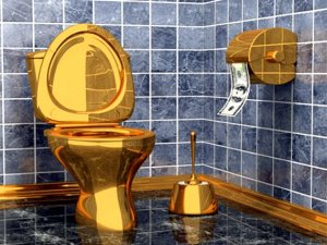 В Госдуме требуют выяснить, откуда у охранника "Газпрома" "золотой" унитаз