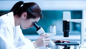 Российские ученые научились быстро выращивать стволовые клетки