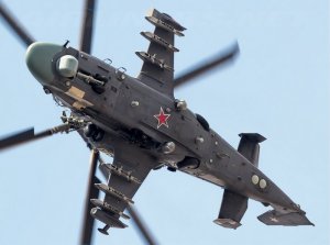 Пальмиру вернут «Аллигаторы» и «Грачи»