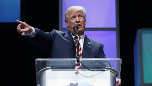 Советник Трампа назвал СМИ оппозицией и заявил, что они должны "заткнуться"