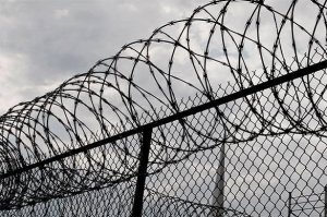 ФСБ вводит пограничную зону с Белоруссией