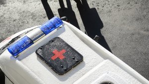 В центре Москвы обнаружили тело женщины, которую загрызли собаки