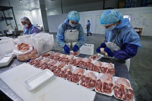 Россельхознадзор решил запретить импорт мяса птицы и яиц из нескольких стран ЕС
