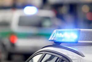 Массовый арест 22 чеченцев в Вене