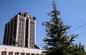 Источник: Запад и Киев заблокировали заявление СБ ООН по обстрелам посольства РФ в Сирии