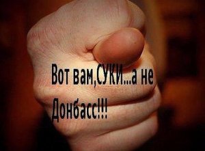В Раде потребовали от Порошенко план по захвату Донбасса и Крыма