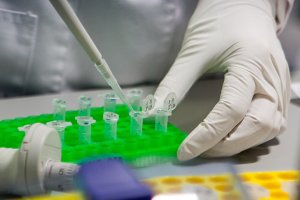 СМИ: Исследование показало, что 83% россиян приходятся друг другу родственниками
