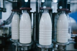 В Союзе производителей молока оценили возможный рост цен на продукцию в 30%