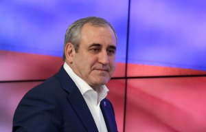 "Единая Россия" и ЦИК выступают за создание закона о праймериз
