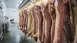 Украина стала крупнейшим импортером мяса и пива из России из-за ДНР и ЛНР