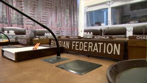 Захарова: Украина заблокировала в СБ ООН заявление, посвященное Виталию Чуркину