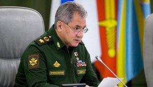 ".......вряд ли "в их зоопарке вырос зверь, который может указывать медведю"     (Шойгу ответил Фэллону, призвавшему Россию не "совать лапы в Ливию")