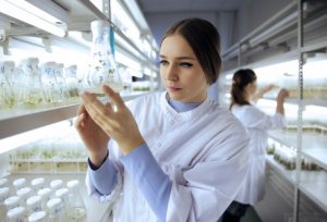 Удар по микробам и старости: ученые МГУ открыли новый вид бактерий