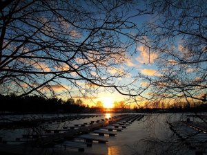 Курортные места Петербурга и области приведут в порядок