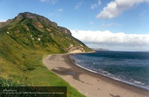 Чем опасен для России японский план совместного освоения Курил