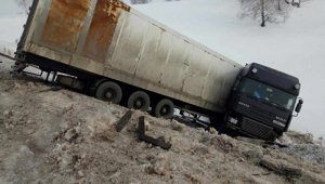 Полиция разыскивает мужчину, бросившего на трассе Оренбуржья грузовик с тиграми