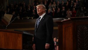 Трамп решил отложить подготовку соглашения с Россией по борьбе с ИГ