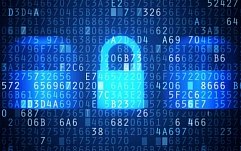 WikiLeaks поможет IT-компаниям бороться с используемыми ЦРУ уязвимостями