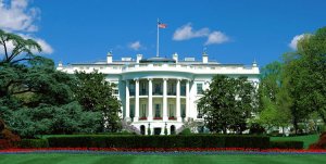 Д. Трамп пригласил президента Палестины М. Аббаса в ближайшее время посетить США