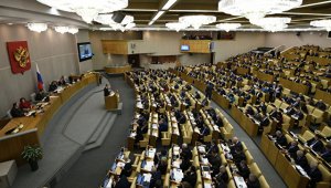 В Госдуме предложили давать российское гражданство по "праву почвы"