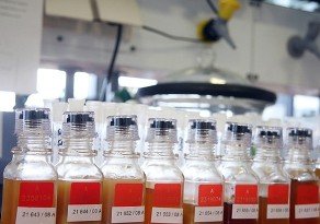CAS пожизненно дисквалифицировал врача Португалова