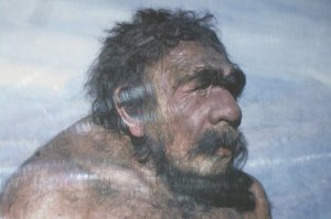 Археологи нашли доказательства миграции из древнего Израиля на Алтай