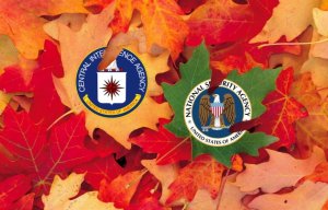 TotalCombat: ЦРУ против АНБ. К сливам документов Национальной разведки США в WikiLeaks привела борьба АНБ и ЦРУ за клиентов промышленного шпионажа