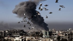 Коалиция признала гибель 396 мирных жителей Сирии и Ирака при авиаударах