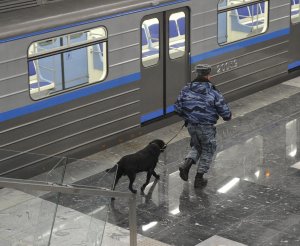 "Во всем виноваты «бестолковые» полицейские"