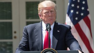 Трамп обдумывает введение санкций против России из-за Сирии