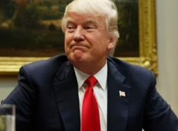 Трамп оповестил Си Цзиньпина об ударе США по Сирии во время десерта.